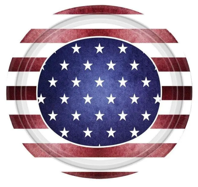 12-Inch American Flag Pattern Paper Plates – Pack Of 14 1