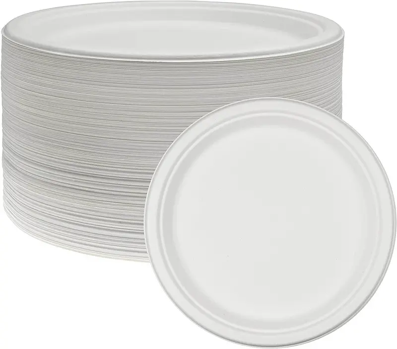 125-Pack 10-Inch Compostable Sugarcane Plates | Heavy-Duty Eco-Friendly Disposable Plates For Parties & Catering 1
