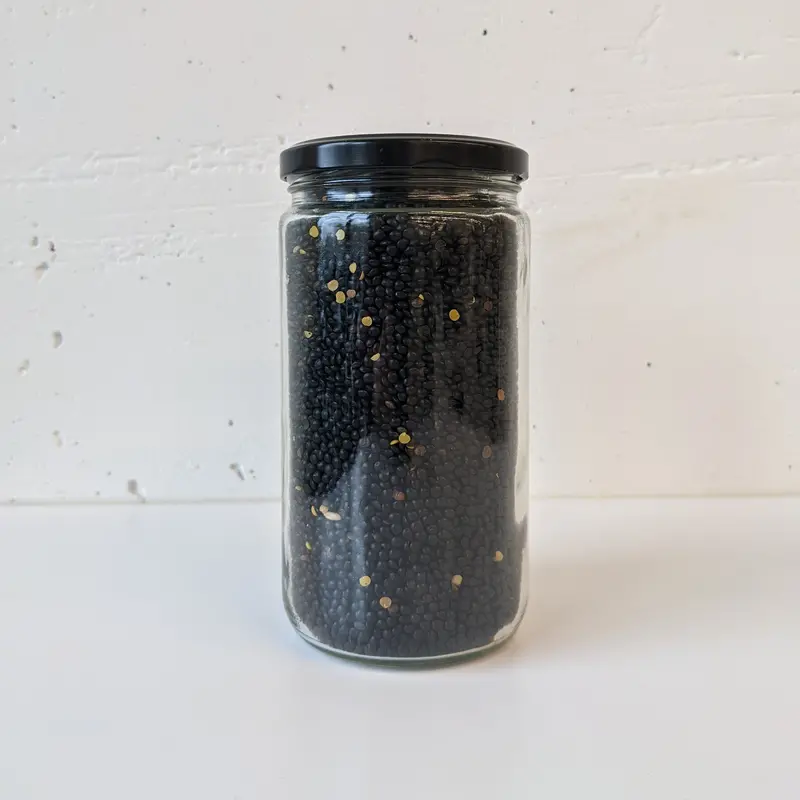 Beluga Lentils – Organic, High-Protein Legume 1