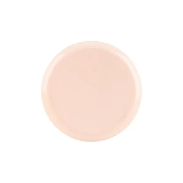 Blush Pink 6.3" Round Salad Plates – Premium Disposable Plastic – Edge Series 1