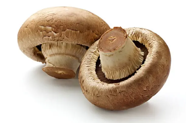 Brown Button Mushrooms – 227 G 1