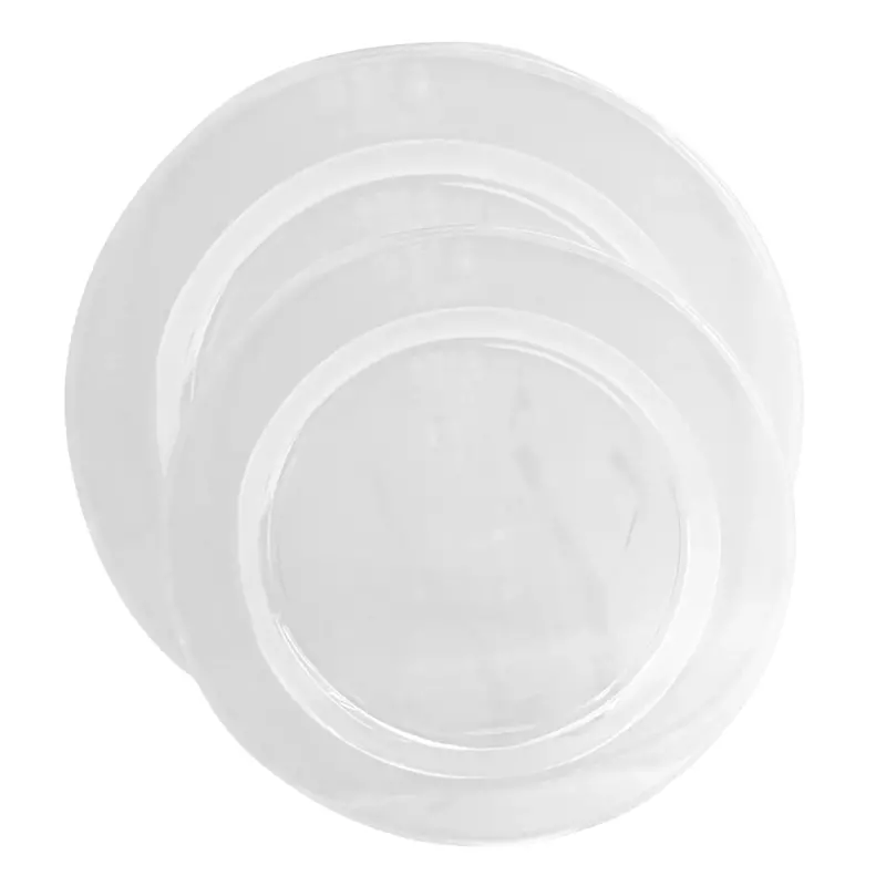 Clear 10.25-Inch And 9-Inch Heavy-Duty Plastic Dinner Plates – Magnificence Series 1