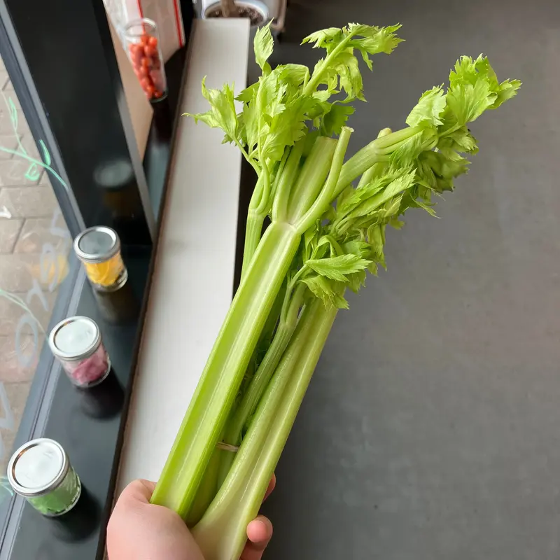 Fresh Celery Bunch - Crisp Stalks For Cooking Or Snacking 1