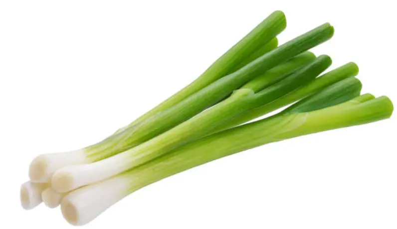 Green Onions (Scallions) - Fresh Bunch For Garnishing And Stir-Fries 1