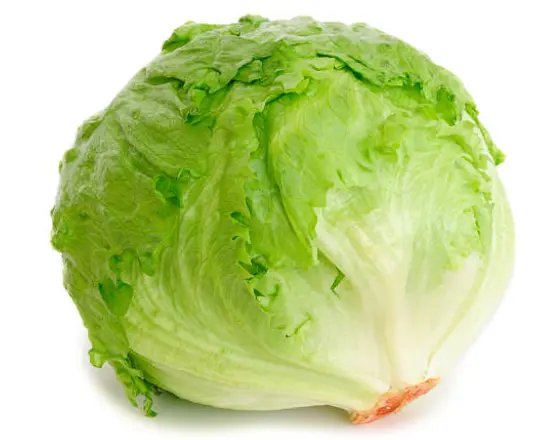 Iceberg Lettuce – 1 Head 1