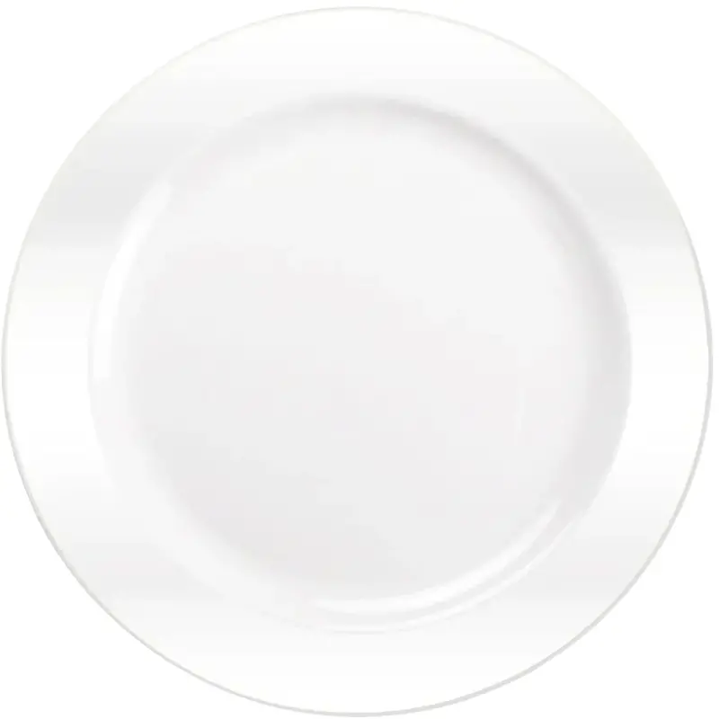 Magnificence 10.25-Inch Heavyweight White Plastic Dinner Plates (Jumbo Pack) 1