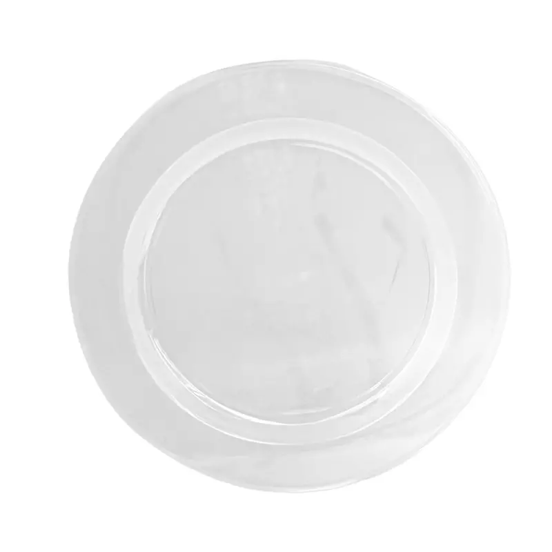 Magnificence 9-Inch Heavyweight Clear Plastic Dinner Plates (Jumbo Pack) 1