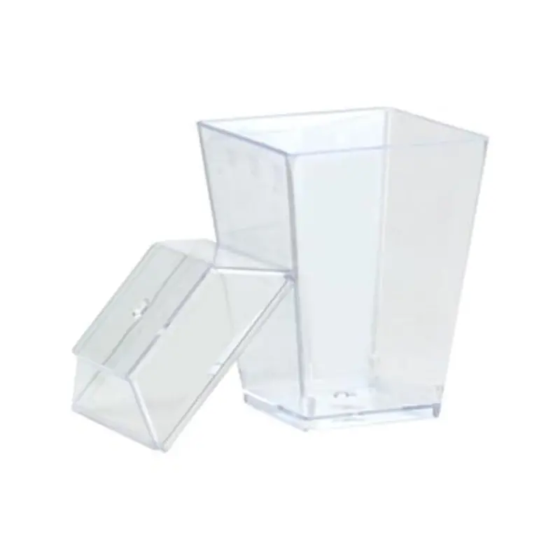 Mini Clear Plastic Gourmet Dish – Elegant Serving Or Appetizer Tray 1