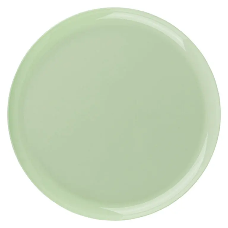 Mint Green 10" Round Dinner Plates – Heavy-Duty Disposable Plastic – Edge Series 1