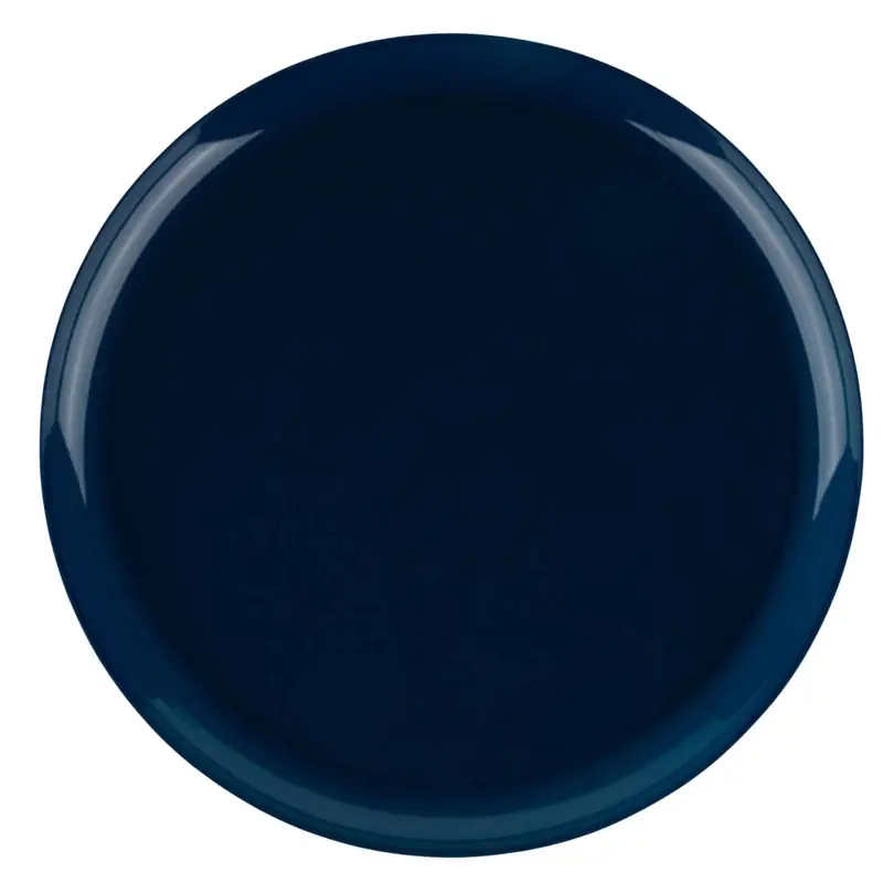 Navy Blue 10" Round Dinner Plates – Heavy-Duty Disposable Plastic – Edge Series 1