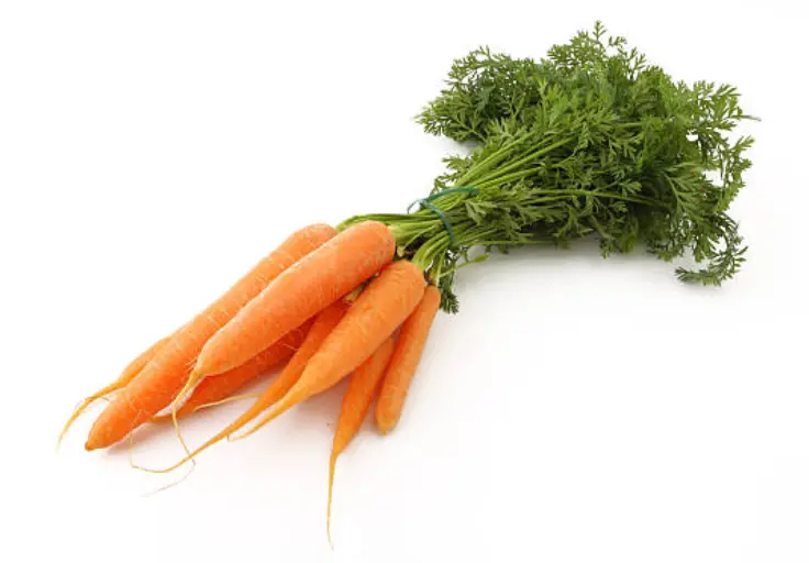 Organic Carrots – 2 Lb Bag 1