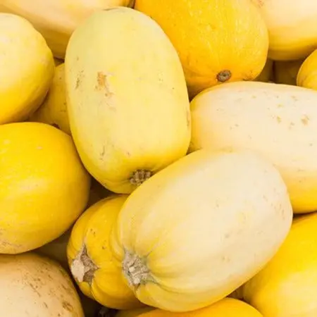 Spaghetti Squash – Low-Carb Whole Vegetable 1