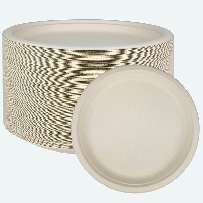 Sugarcane-Based 10-Inch Disposable Plates – 125-Pack, Brown Compostable Dinnerware For Adults & Kids, Sturdy & Spill-Resistant 1