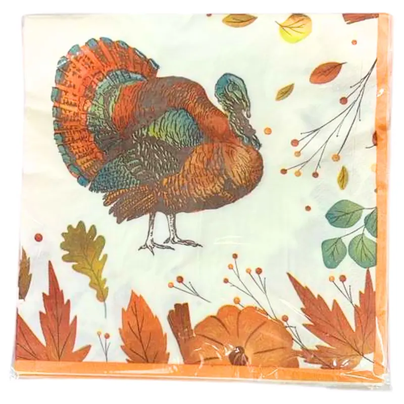 Thanksgiving Lunch Napkins – Rustic Fall-Themed 16-Pack 1