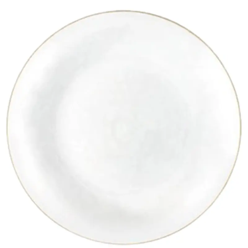 White 10-Inch Disposable Dinner Plate With Gold Rim 1
