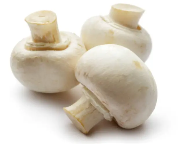 White Button Mushrooms – 227 G 1