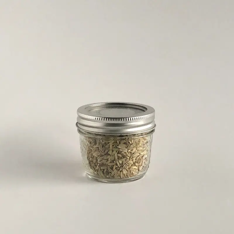 Whole Organic Fennel Seeds – Aromatic & Digestive-Friendly 1